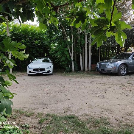 Apartment Albert Parking Prive Gratuit リムー エクステリア 写真