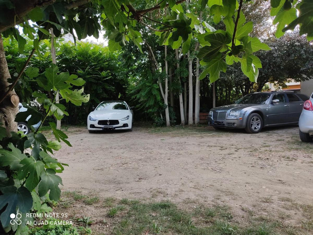 Apartment Albert Parking Prive Gratuit リムー エクステリア 写真