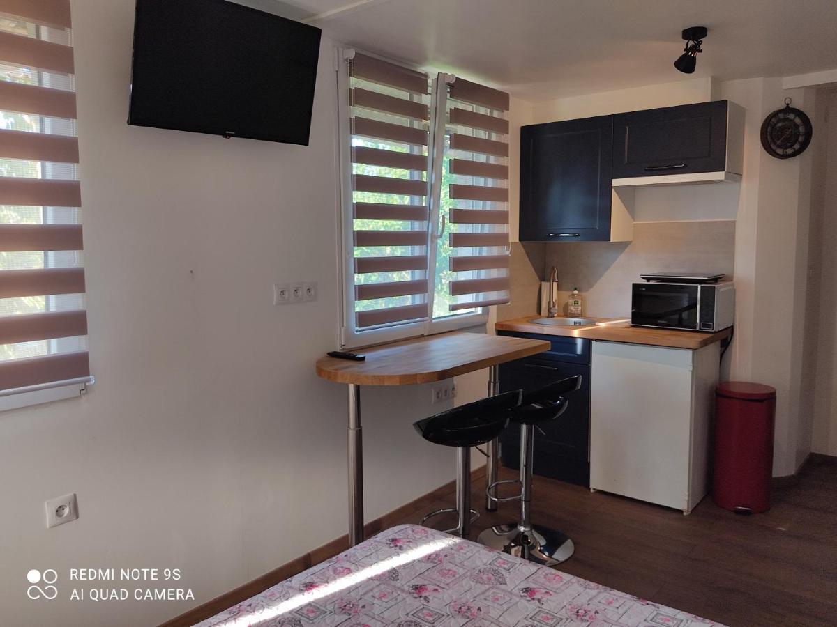 Apartment Albert Parking Prive Gratuit リムー エクステリア 写真