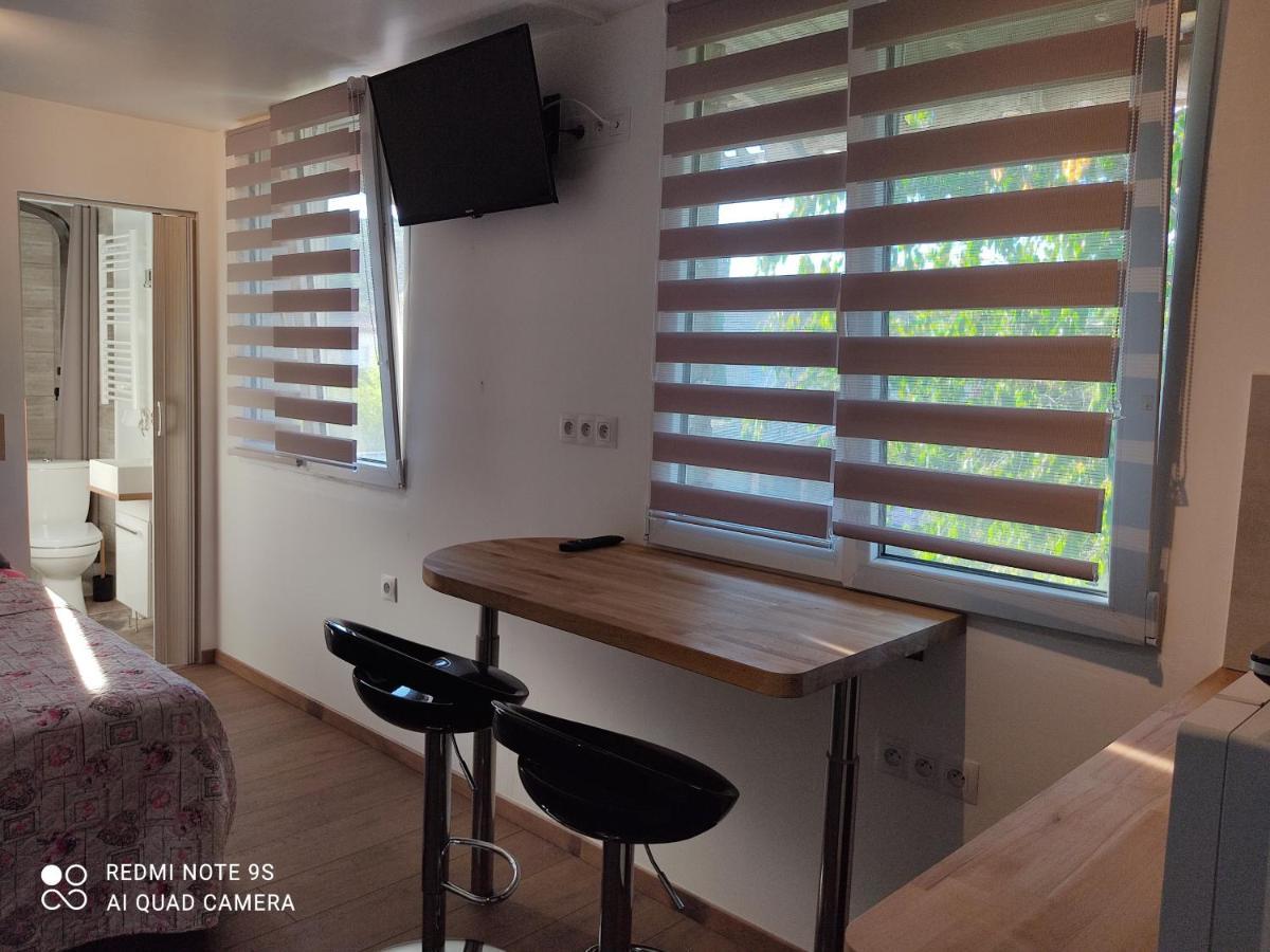 Apartment Albert Parking Prive Gratuit リムー エクステリア 写真