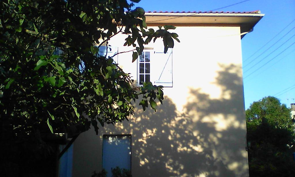 Apartment Albert Parking Prive Gratuit リムー エクステリア 写真