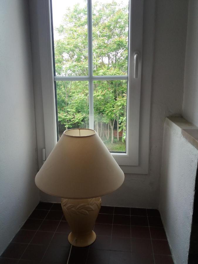 Apartment Albert Parking Prive Gratuit リムー エクステリア 写真